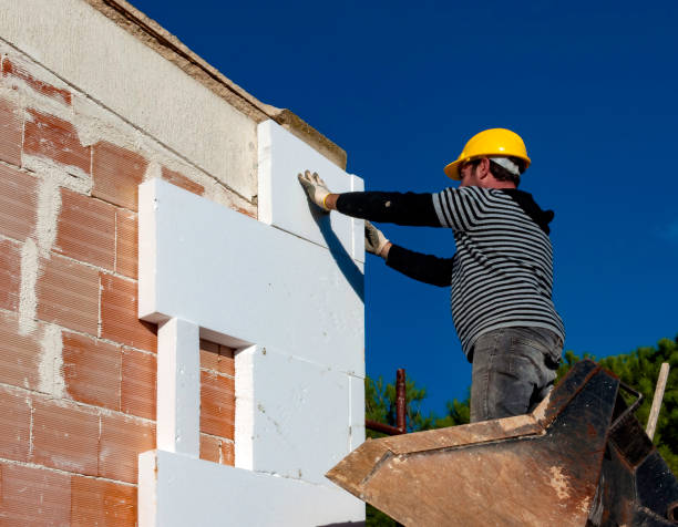 Best Residential Insulation in Walnut Grove, GA