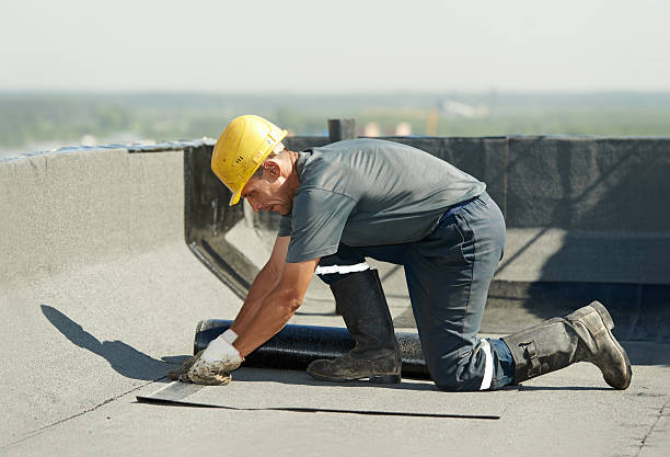 Best Commercial Insulation in Walnut Grove, GA